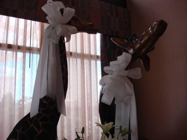 Holiday Inn Quincy By Ihg Ngoại thất bức ảnh